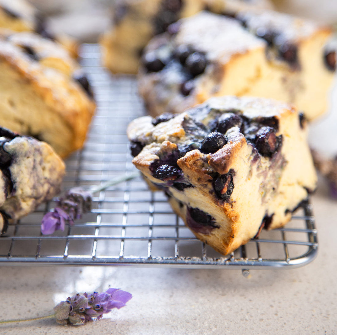Melita Lavender Honey & Blueberry Scones