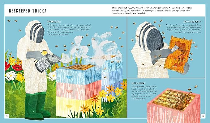 Honey Bee Young Zoologist