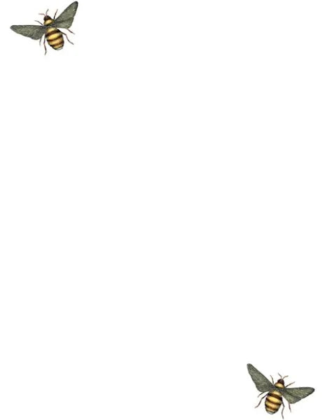 Writing Set - 10 sheets with envelopes