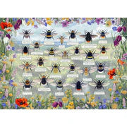 Brilliant Bees Puzzle