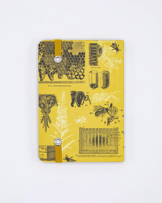 Honey Bees Observation Note Book