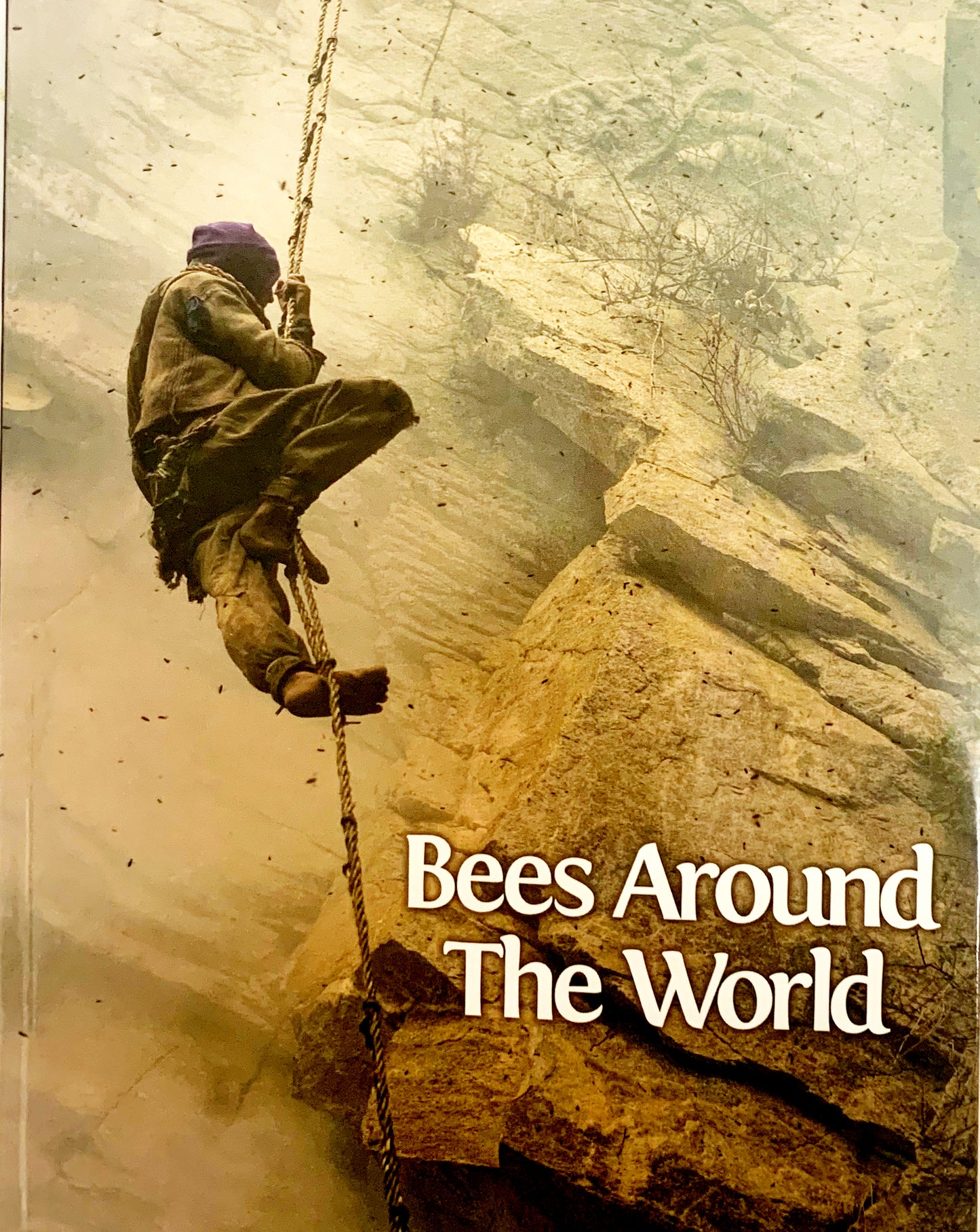 Bees Around the World Book